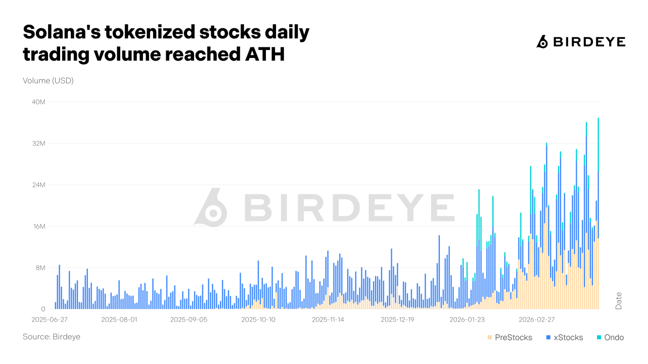 Birdeye Data Bar 1774962354906 1282x721